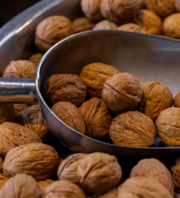 호두 효능과 부작용 하루섭취량 먹는방법 고르는법