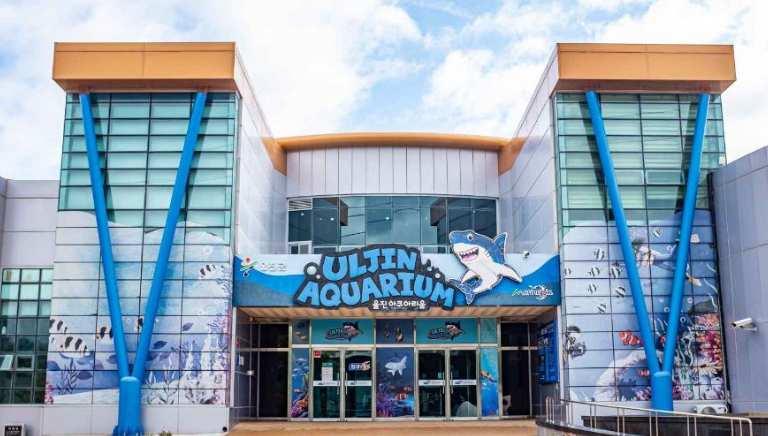 울진 가볼만한곳 베스트10