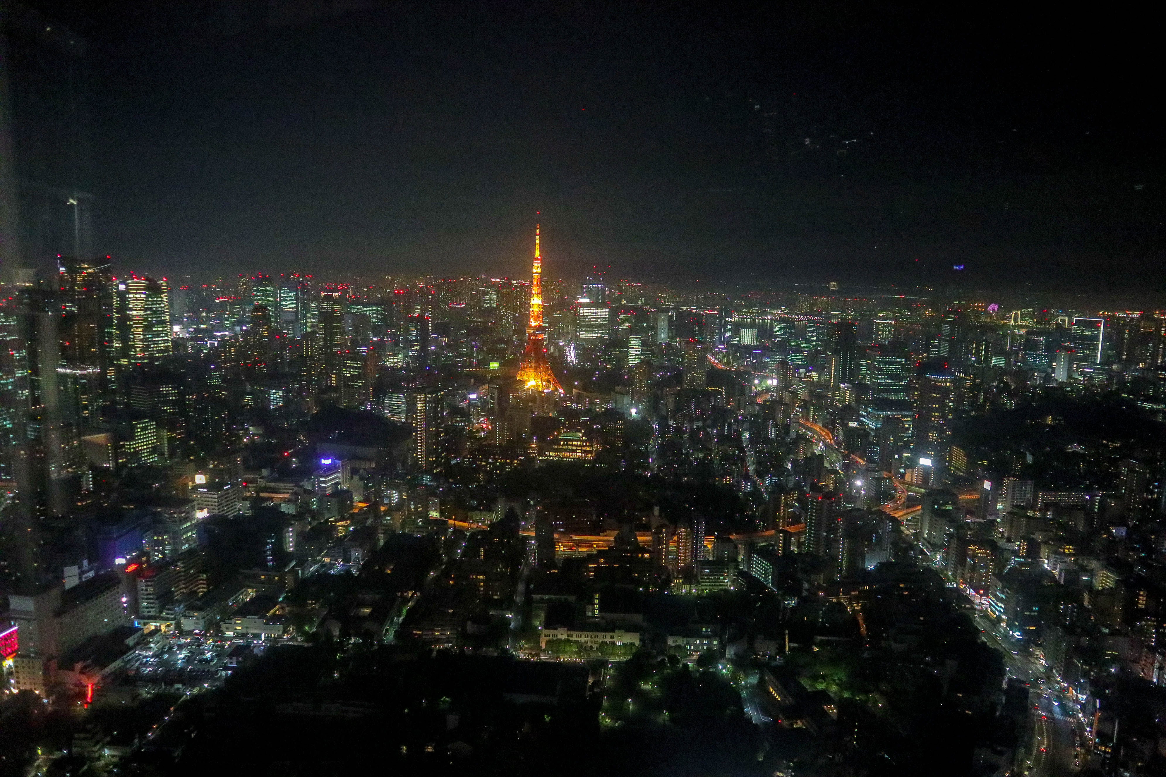 도쿄청사 야경 사진