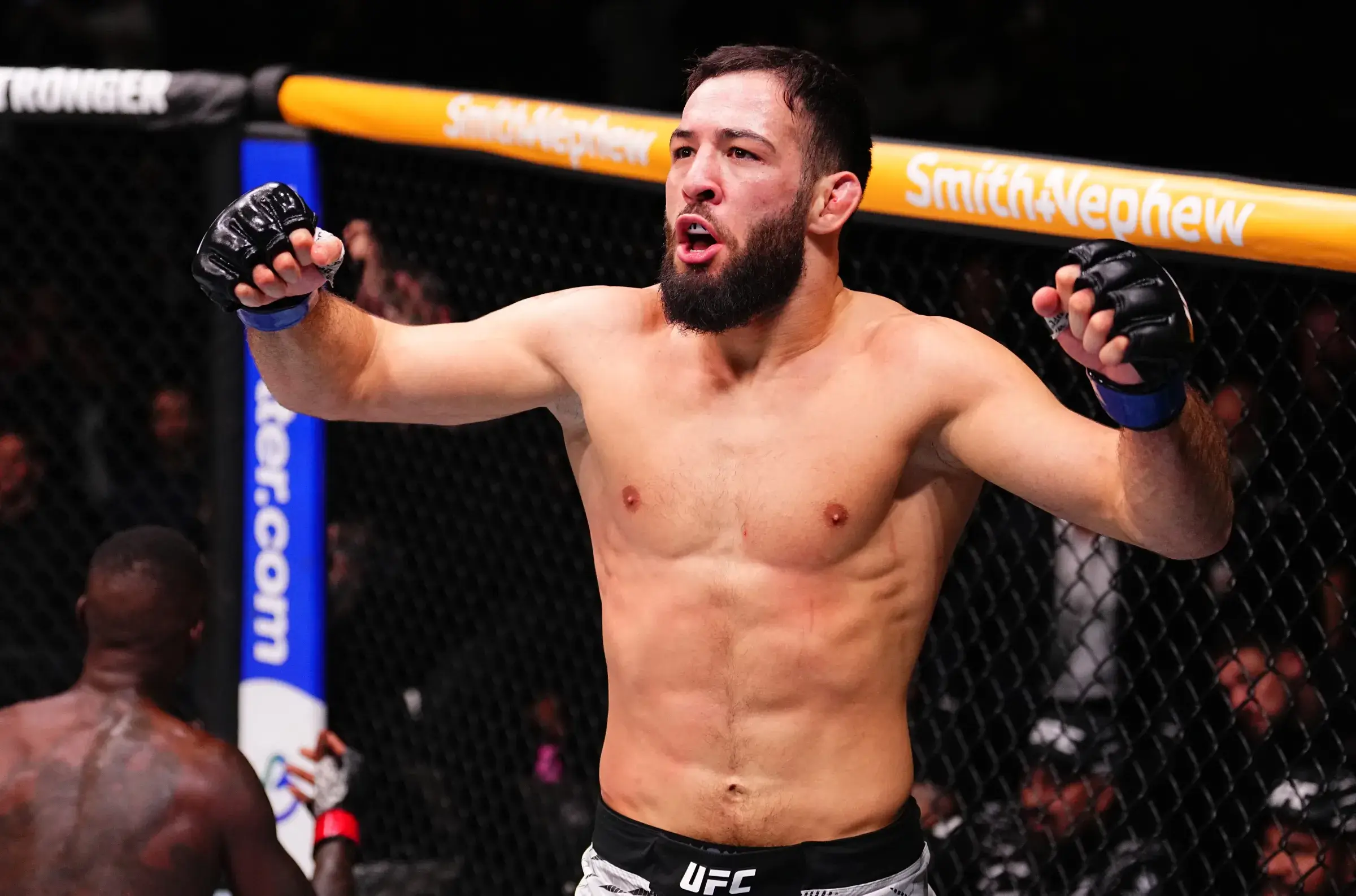 UFC Fight Night 이마보프 vs 보할류