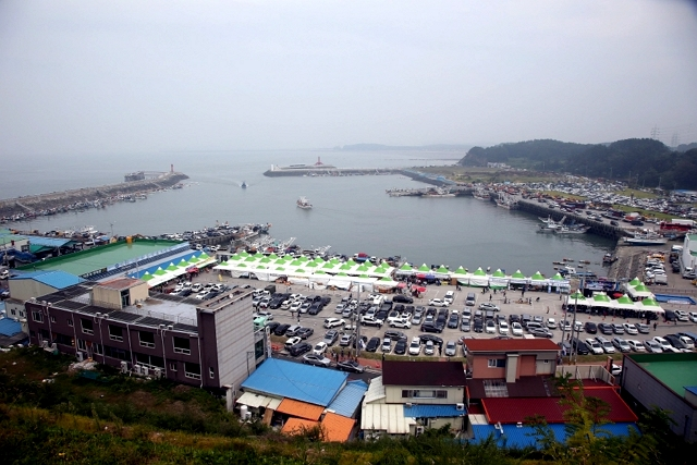 서천 홍원항 자연산 전어 꽃게 축제