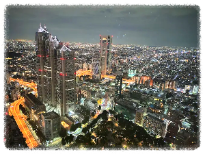 도쿄 도청 전망대