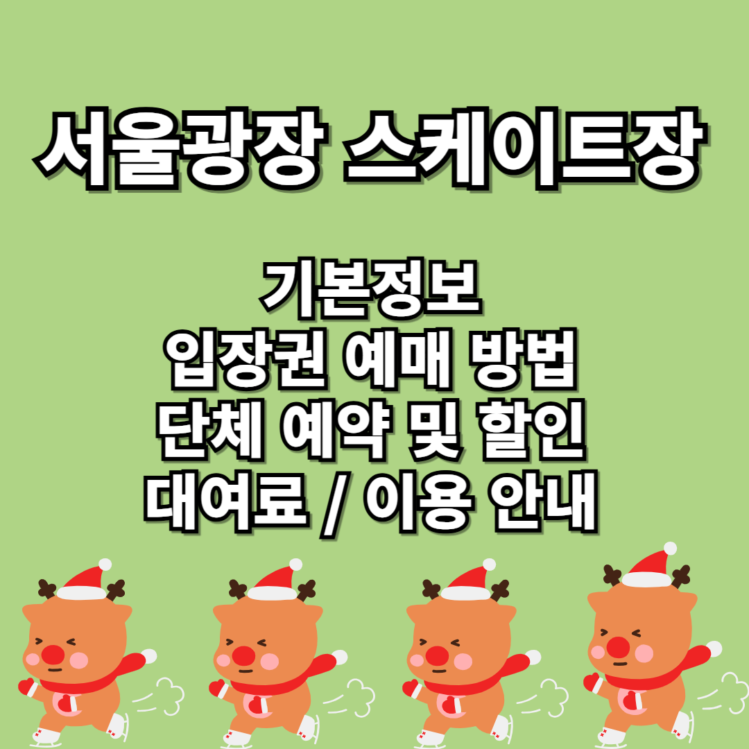 서울광장 스케이트장