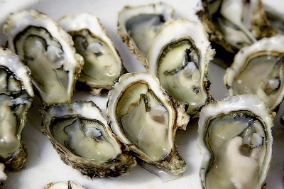 탈모-눈-생리통-소화기관에 좋은 음식 추천