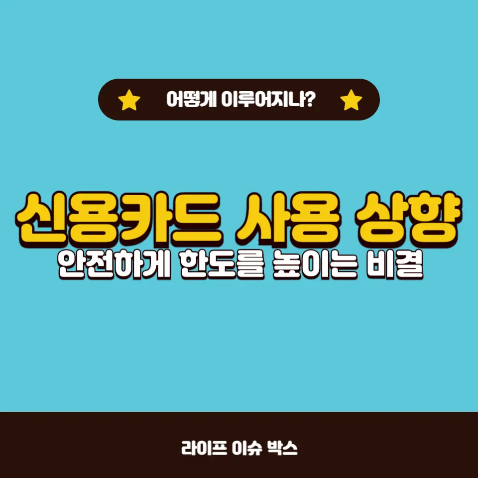 신용카드 사용한도