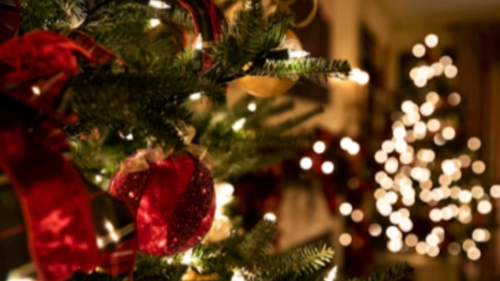 크리스마스 이미지 모음