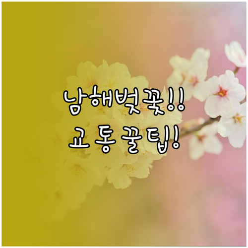 2026년 남해 봄꽃 여행 벚꽃 개화..