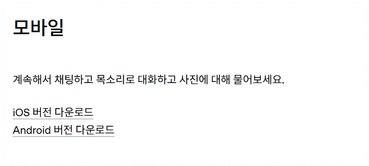 쳇GPT 다운로드 시 주의사항 안내