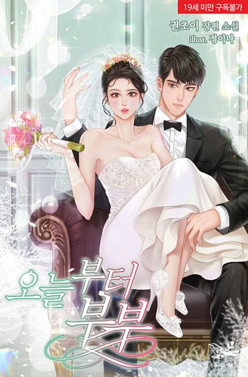 정이나-일러스트-오늘부터-부부