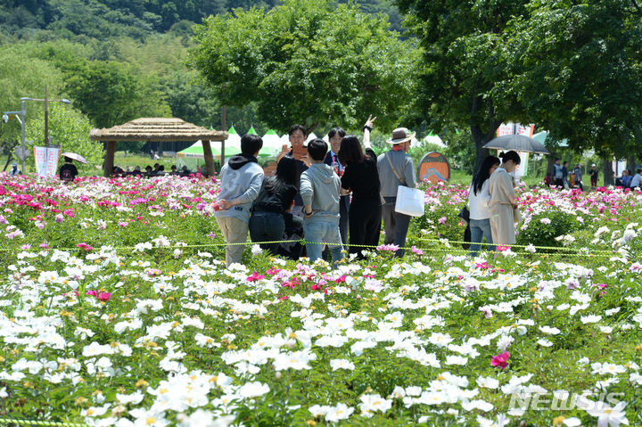 2025 태화강 국가정원 봄꽃축제: 포토존, 체험, 공연 일정, 야경까지!