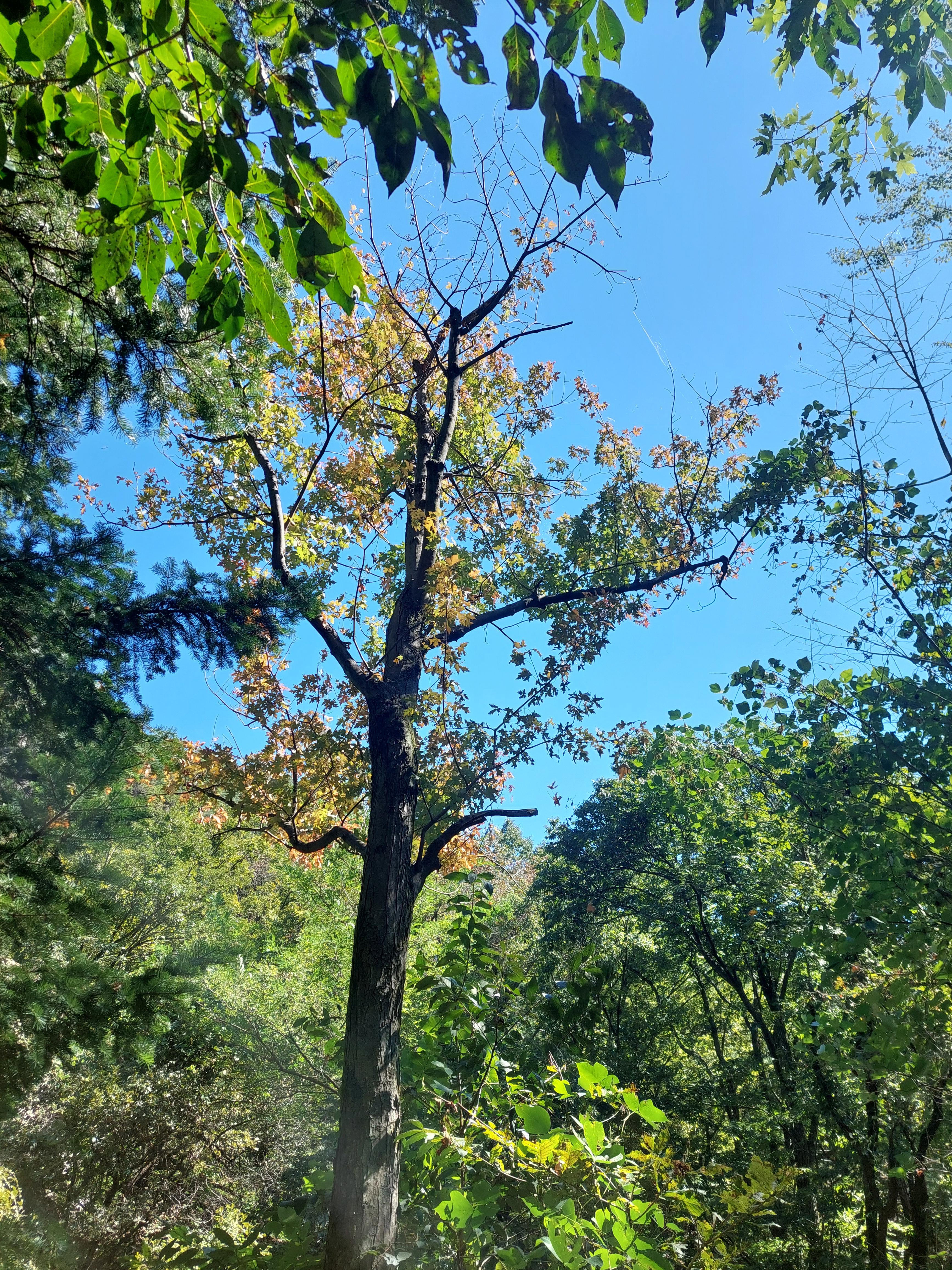 도봉산