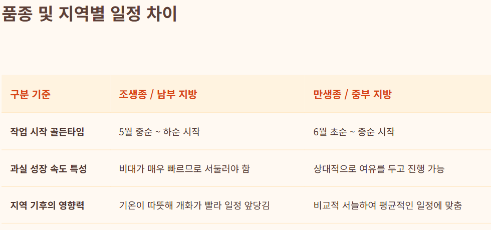 복숭아 봉지 씌우는 시기