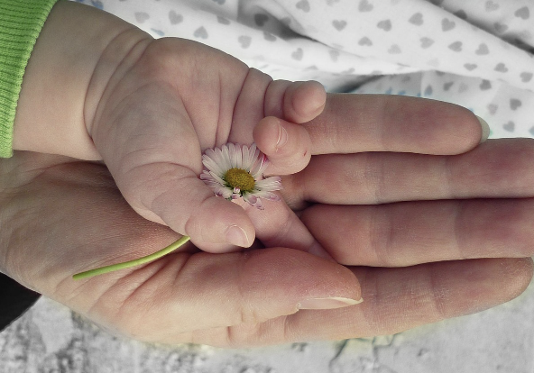 사랑의 이름으로 강요하지 않기: 헌신의 그림자 읽기