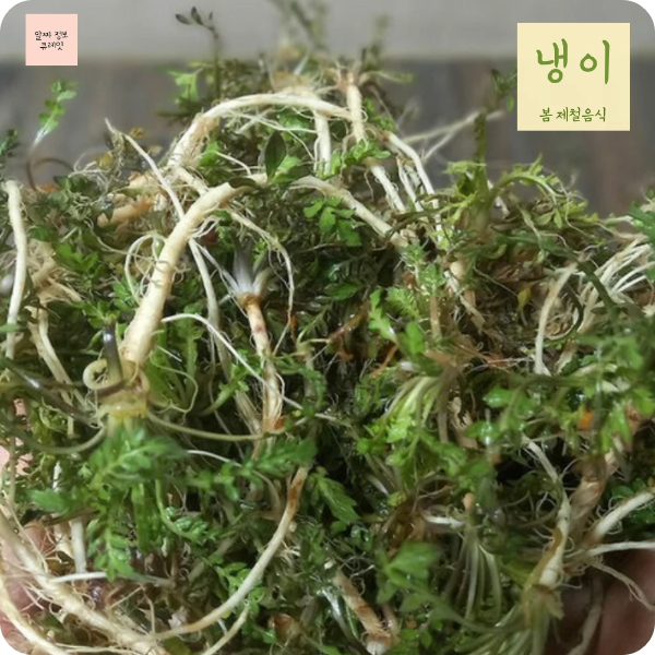 봄 제철음식 10가지