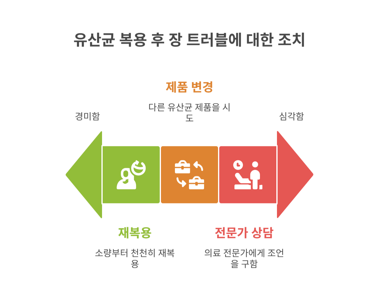 유산균, 다시 먹어도 될까? 복용 팁 정리