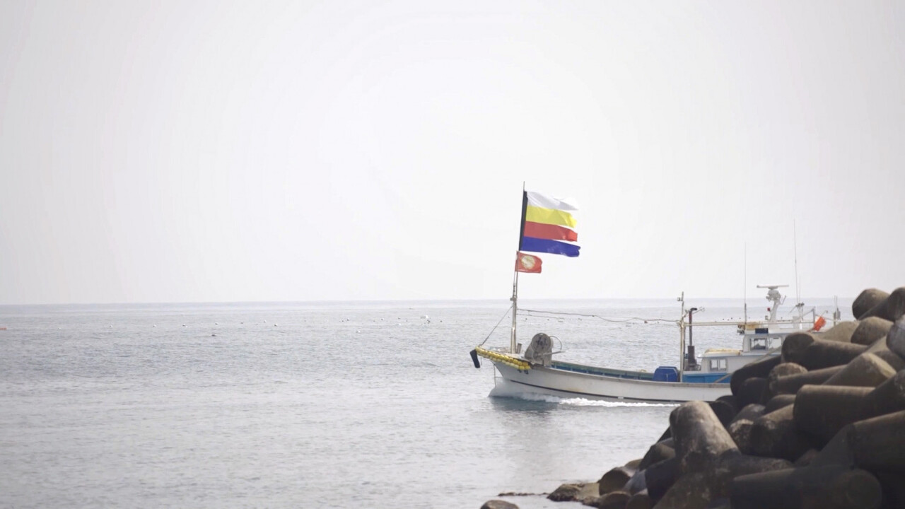  2024년 27회 영덕대게 축제 프로그램