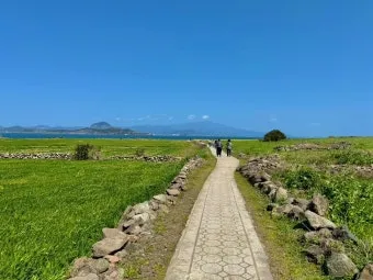 제주 가파도 가는 운진항 배 시간표 요금 예약 예매_25