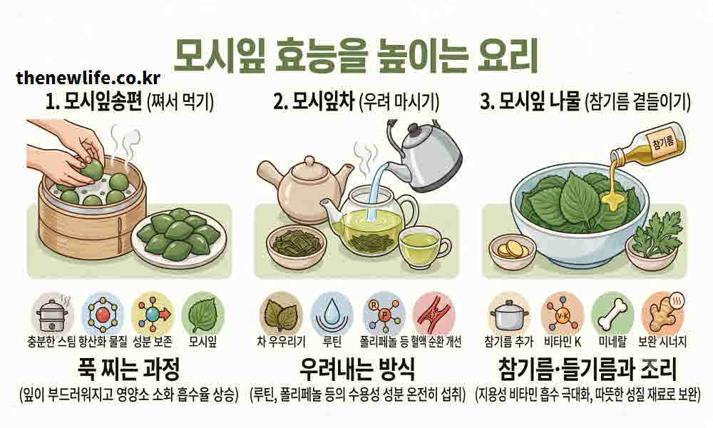 모시잎 효능 높이는 요리