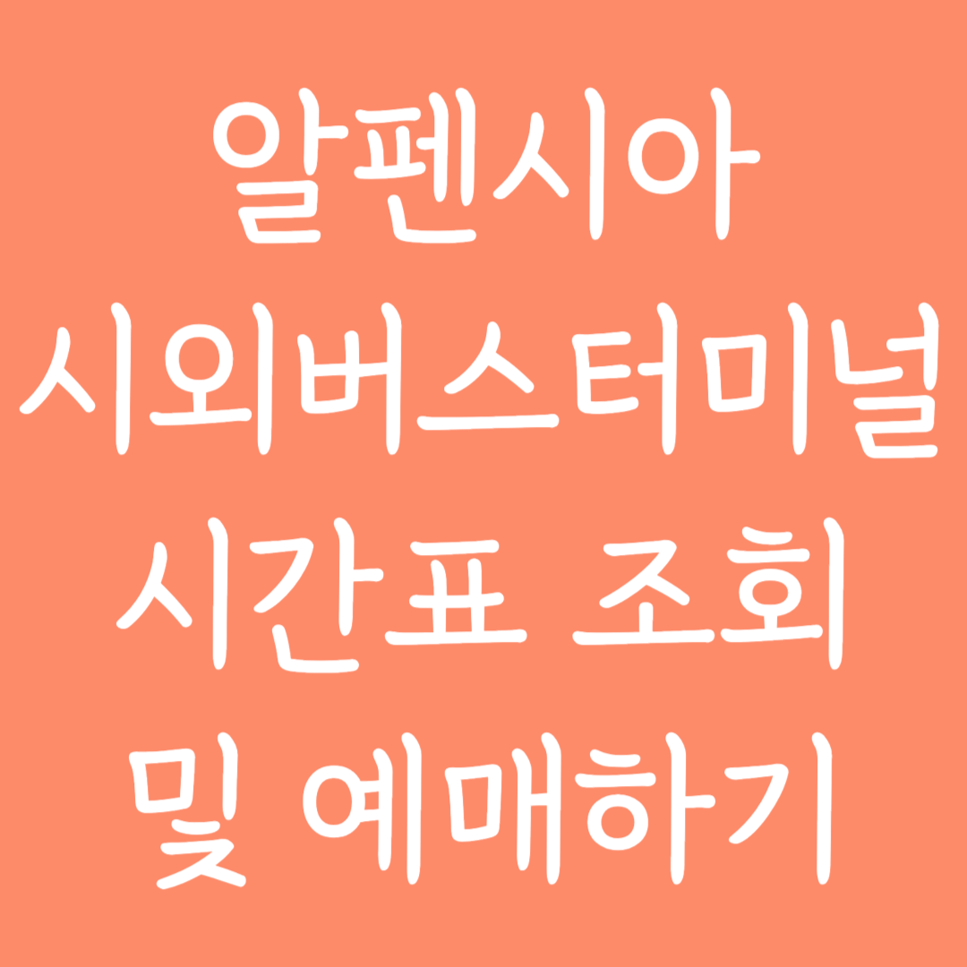 알펜시아 시외버스터미널 시간표조회 및 예매하기