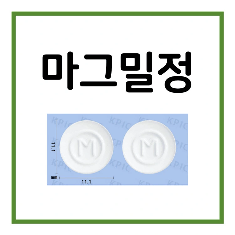 마그밀정-이미지