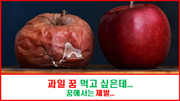 과일 꿈 흉몽