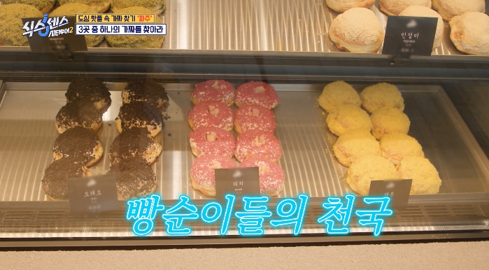 식스센스시티투어2-파주-도넛-카페