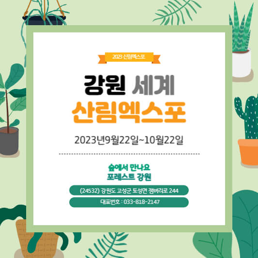 강원 세계 산림엑스포 썸네일