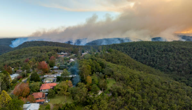 실시간 산불정보 확인