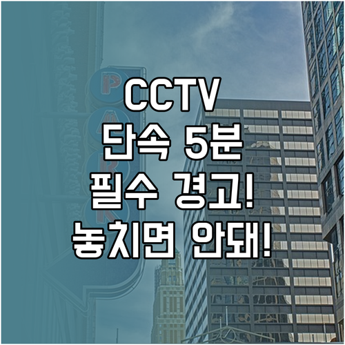 CCTV 주정차 단속 5분 경고 당진..