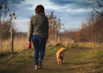 수면과 기분을 동시에 잡는 예방법