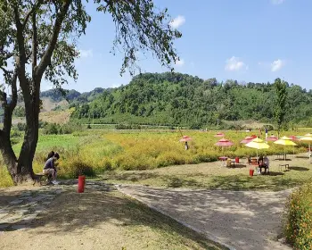 임진강 댑싸리공원_18