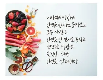 시절인연 뜻 시절인연이란 의미_5
