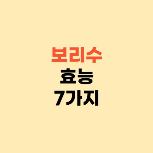 보리수 효능7가지 섭취부작용 ❘ 먹는 방법 공유해요