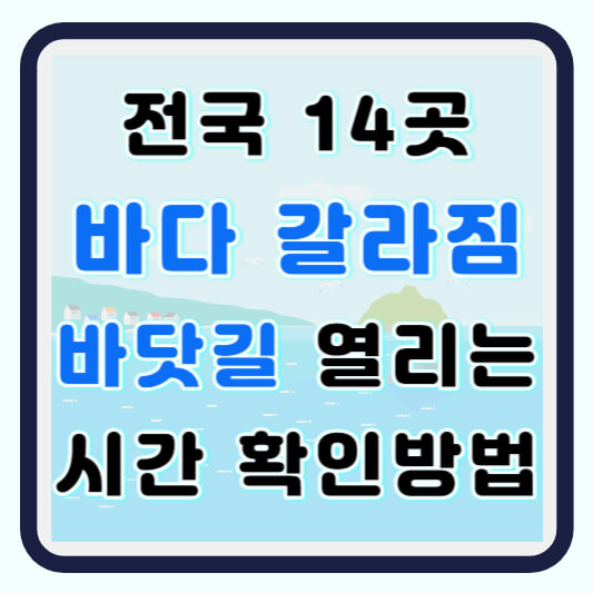 바다 갈라짐 바닷길 갈라지는곳 체험 여행