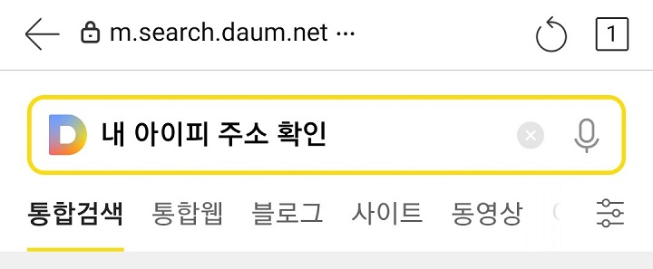 DAUM에서 내 아이피 주소확인이라고 검색함