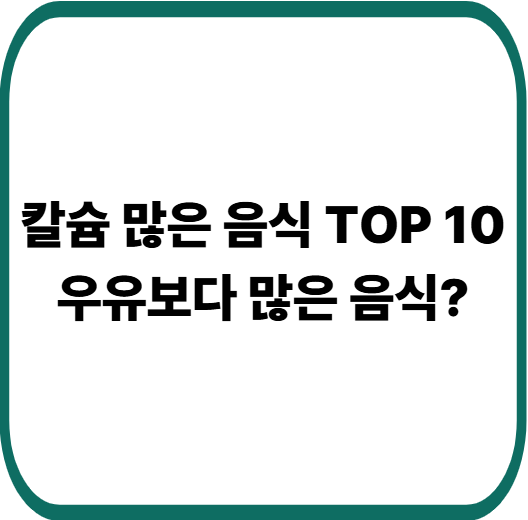 칼슘 많은 음식 순위 TOP 10 : 뼈 건강을 지키는 최고의 식품