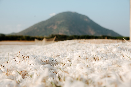 오리털 패딩 집에서 세탁하는 간단한 방법