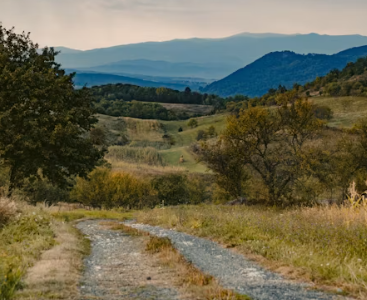 귀농에 대하여 알아보기