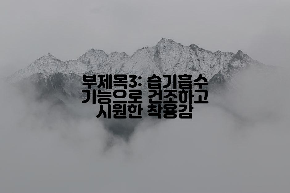 부제목3: 습기흡수 기능으로 건조하고 시원한 착용감