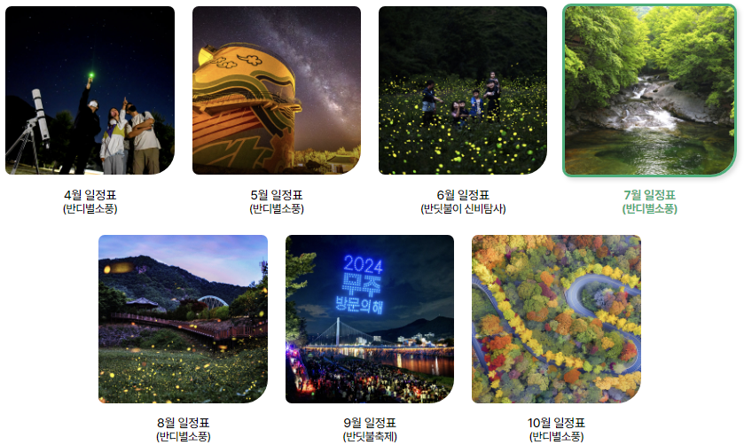 무주 반딧불 축제 생태탐험 행사일정