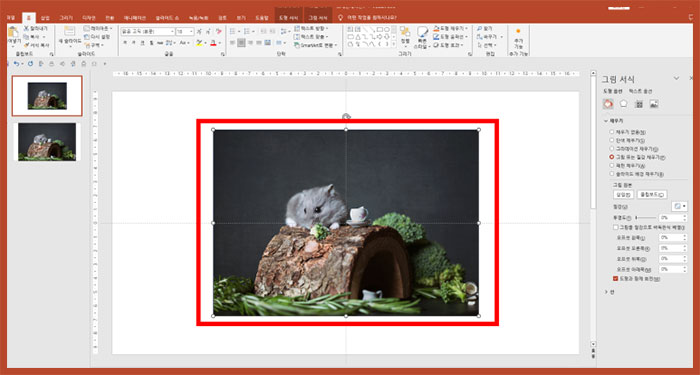 파워포인트 ppt 이미지 사진 투명도 조절