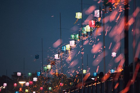 세종 낙화축제
