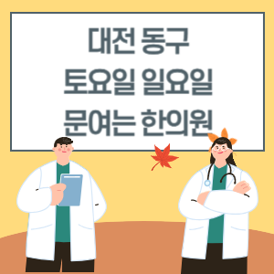 대전 동구 토요일 일요일 한의원 진료 병원 리스트