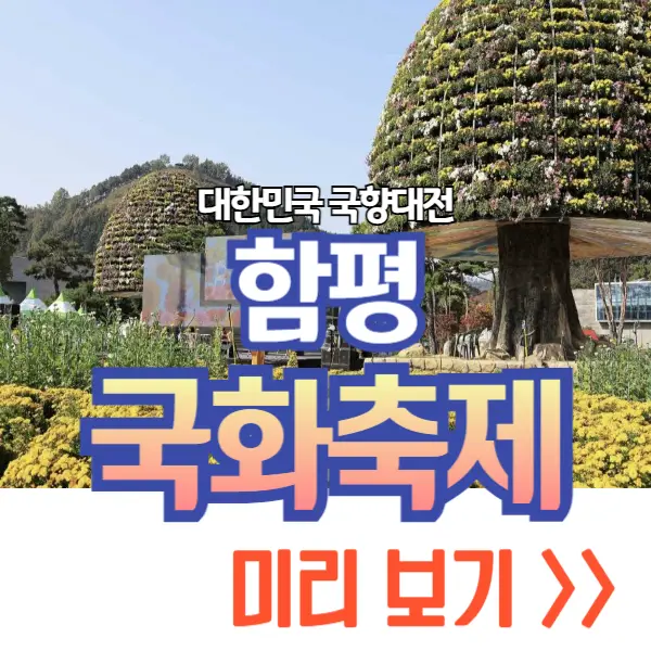 함평 국화축제