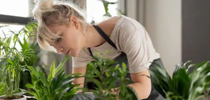 공공 텃밭 신청 확인사항 관련 사진