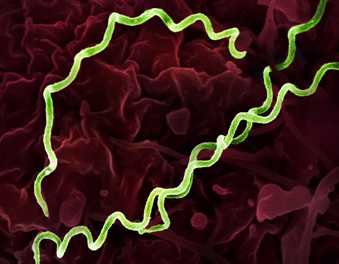 Syphilis