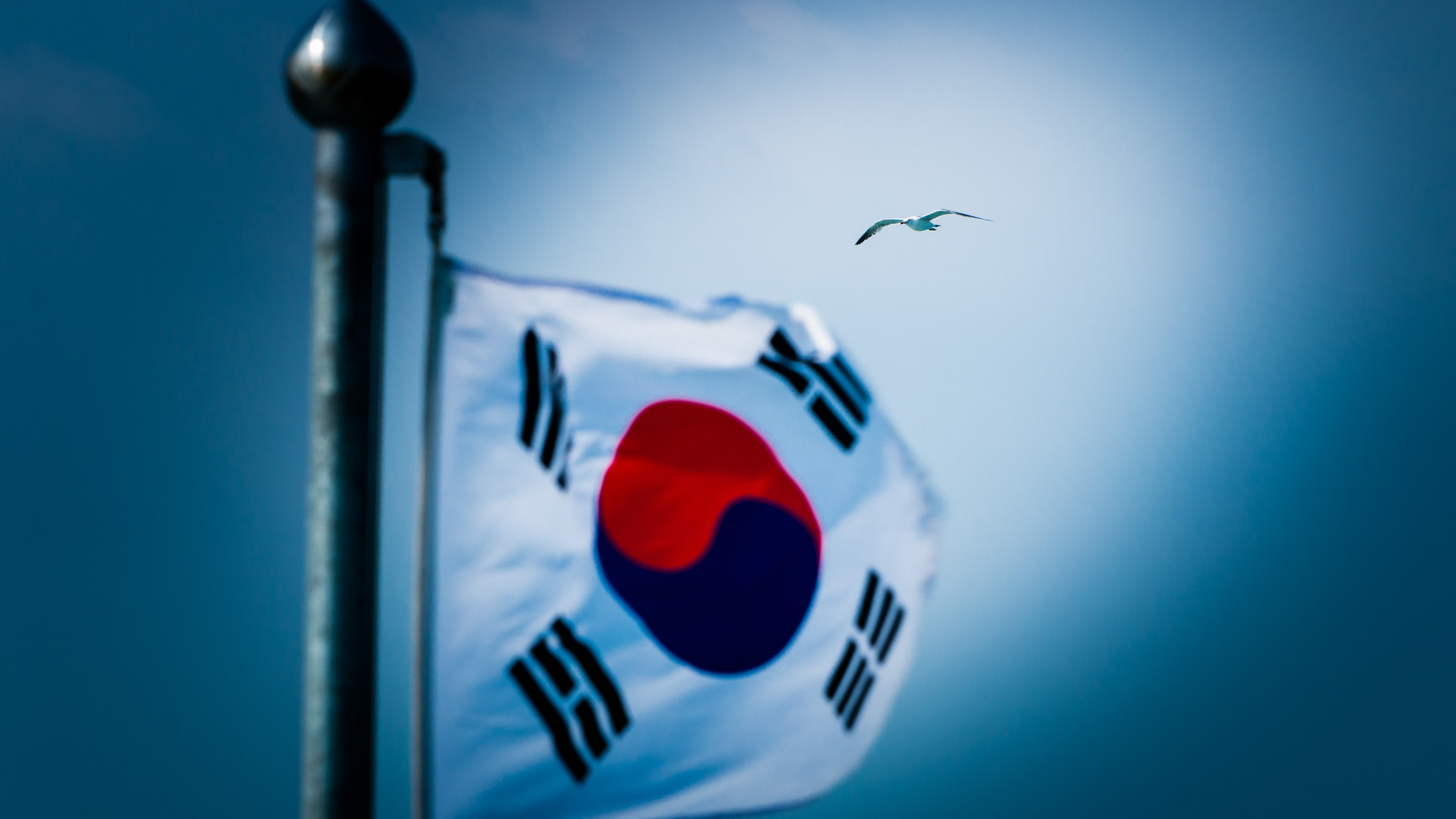 서울시 독립유공생활지원수당 관련 사진