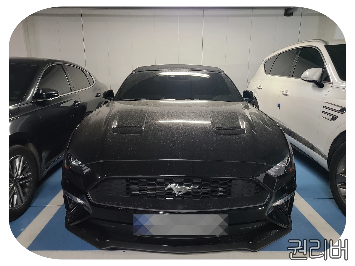 가득-찬-머스탱