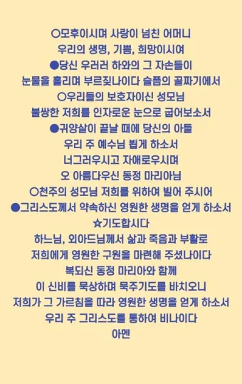천주교 성모님과 함께하는 묵주 기도 빛의 신비 1단부터 5단까지_17