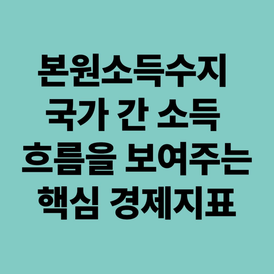 본원소득수지: 국가 간 소득 흐름을 보여주는 핵심 경제지표